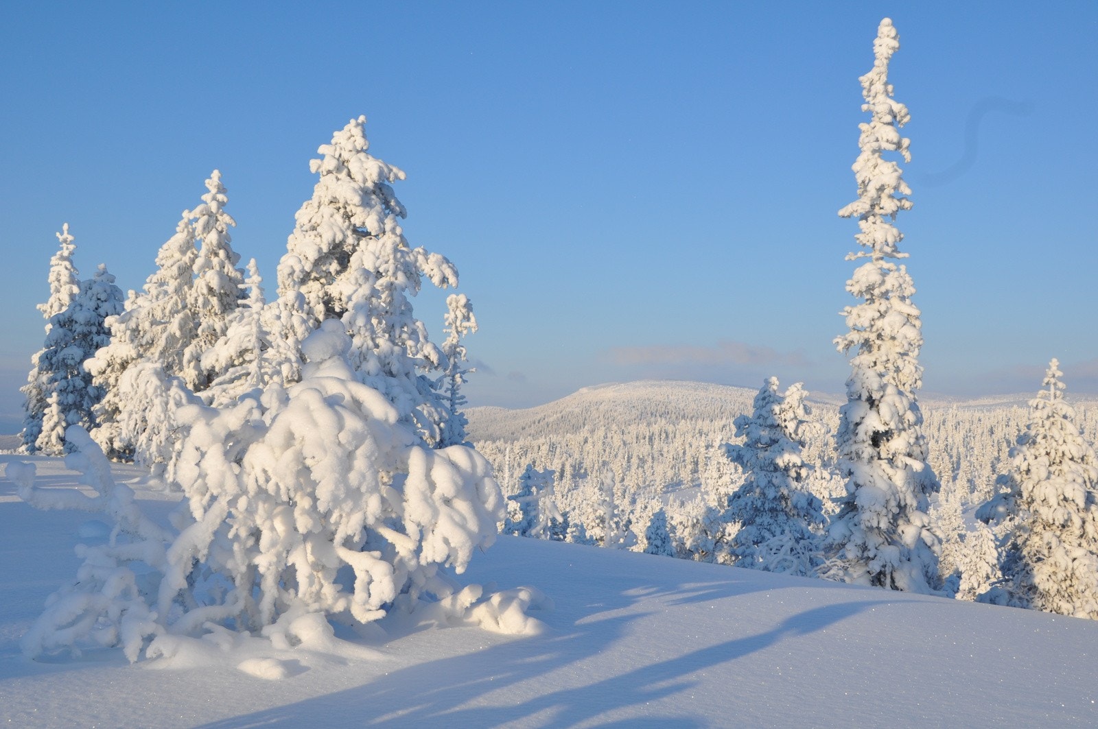 Løypenettet fra Furutangen er nær 90 km, og strekker seg til fine utsiktspunkter i nord. Galleribilde