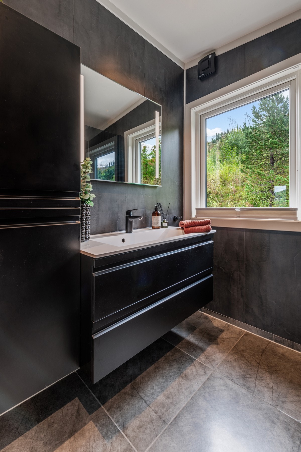 Moderne. Galleribilde