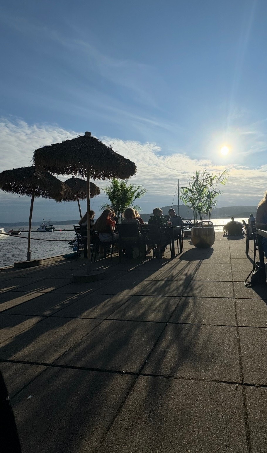 Lunsj i solen Galleribilde