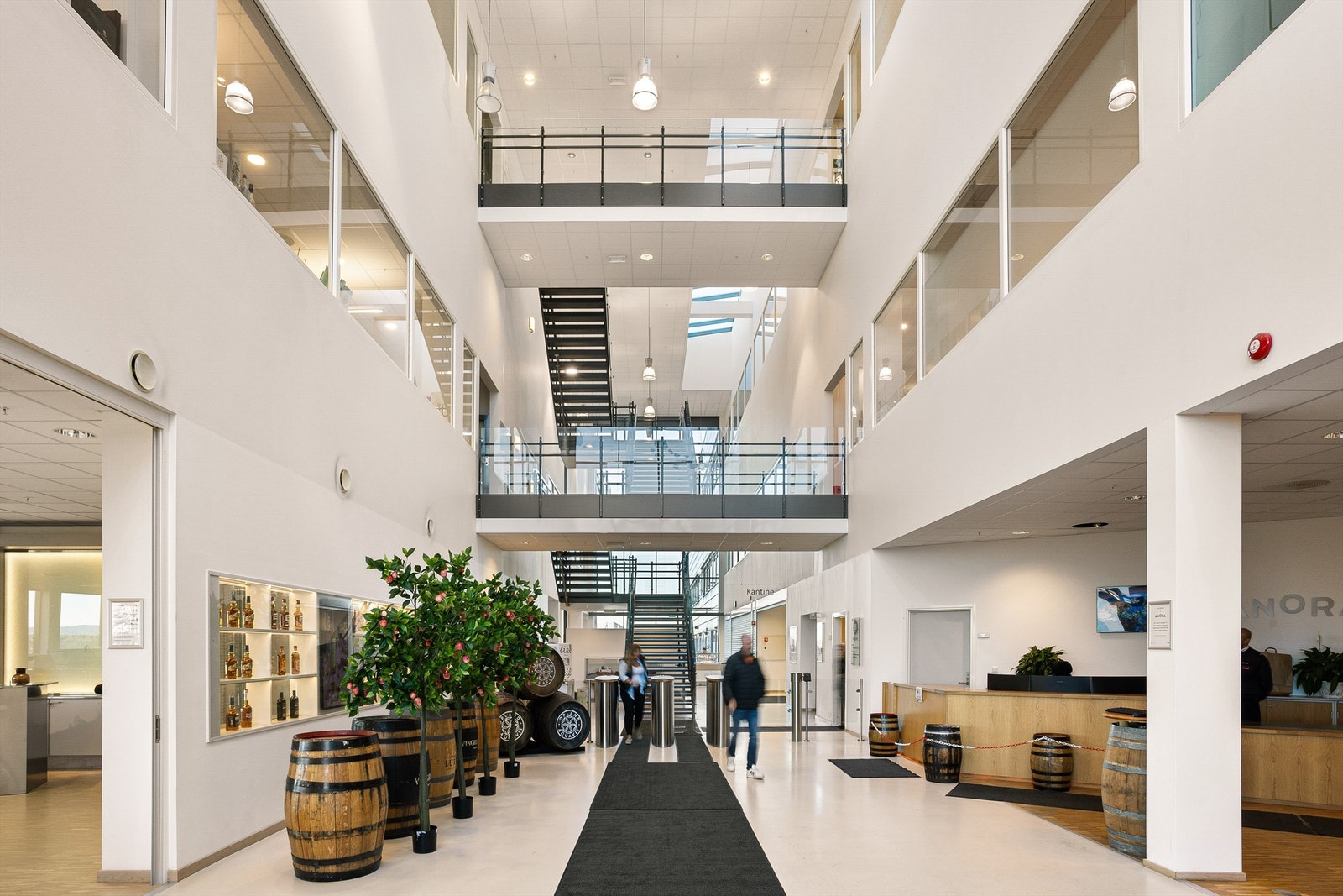 Flotte kontorlokaler i samme bygg som Anora - Felles inngang med mulighet for resepsjon- og sentralbordtjeneste. Galleribilde