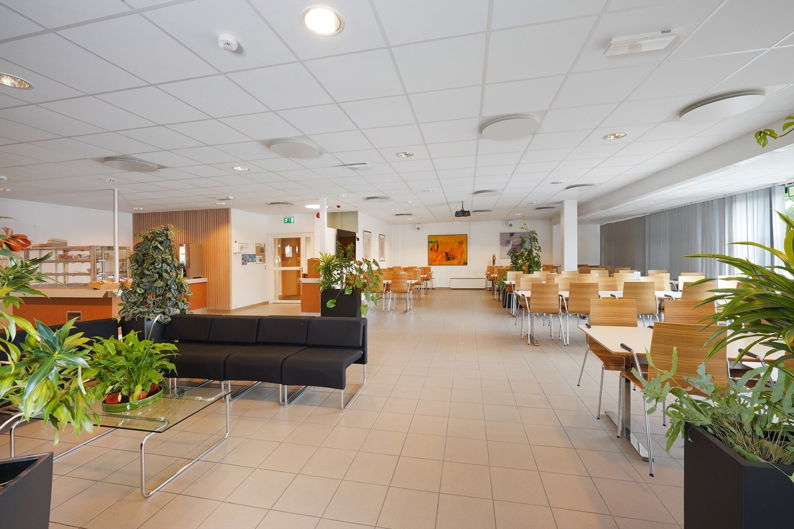 FCL04710 Galleribilde