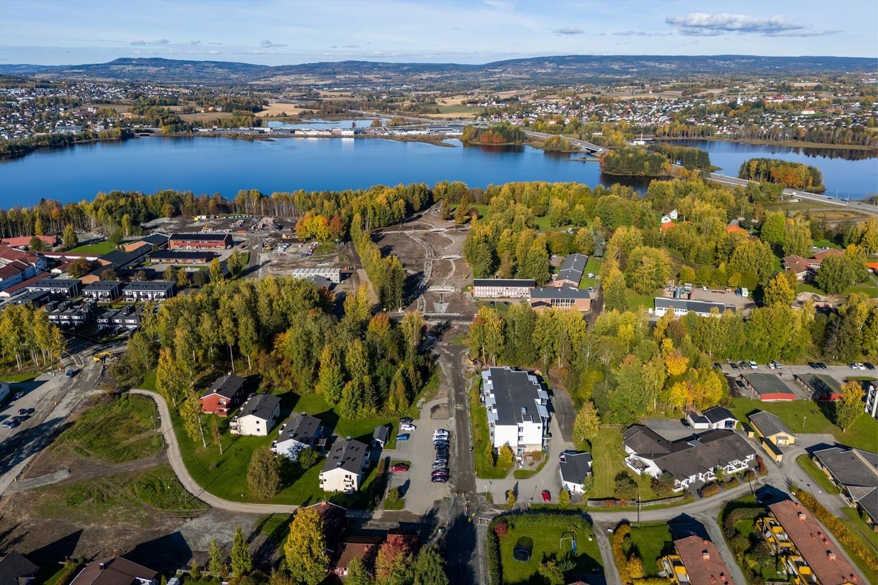 Høstbilde 2024 Galleribilde