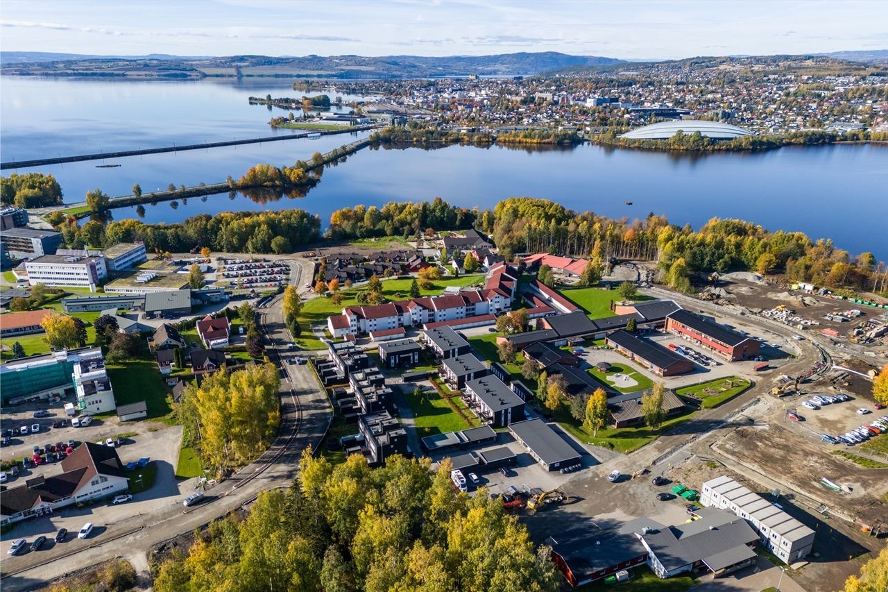 Høstbilde 2024 Galleribilde