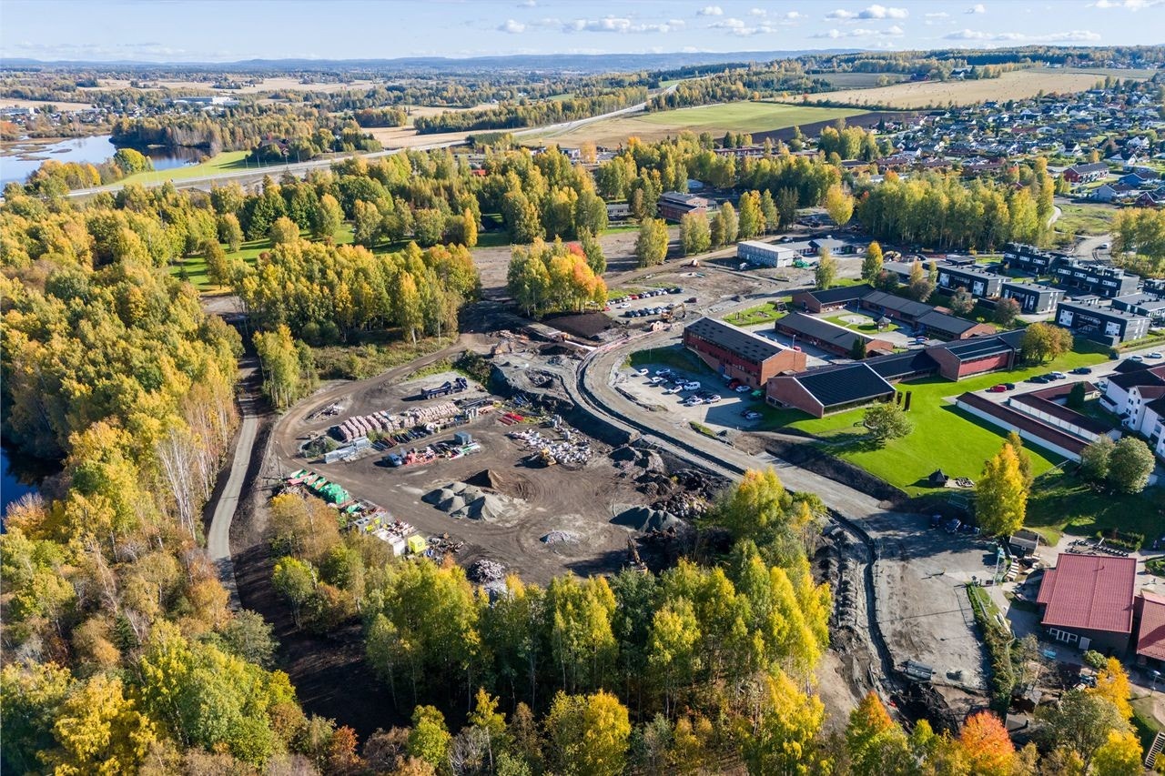 Høstbilde 2024 Galleribilde
