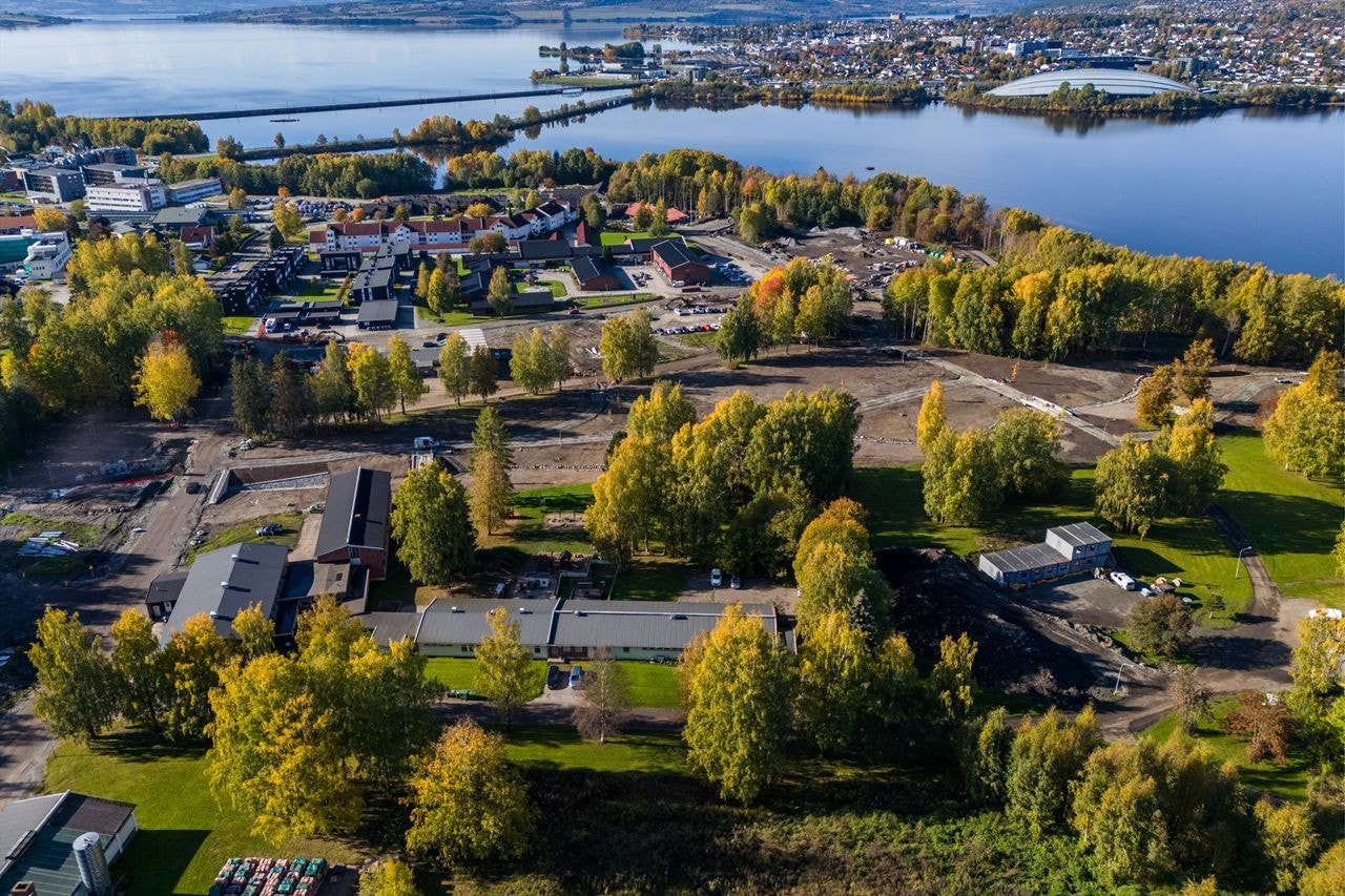 Høstbilde 2024 Galleribilde
