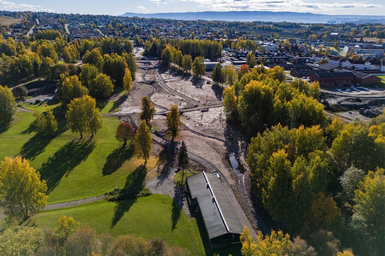 Høstbilde 2024 Galleribilde