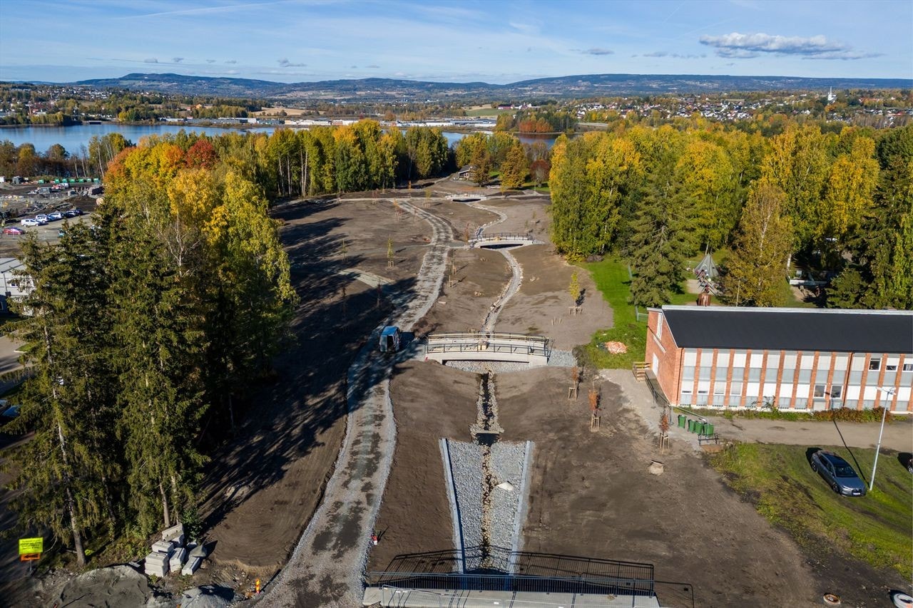 Høstbilde 2024 Galleribilde