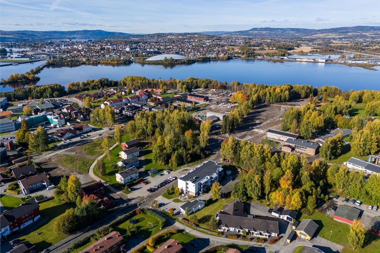 Høstbilde 2024 Galleribilde
