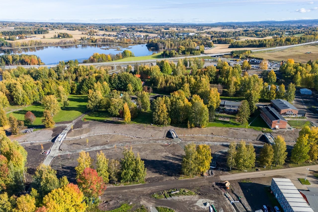 Høstbilde 2024 Galleribilde