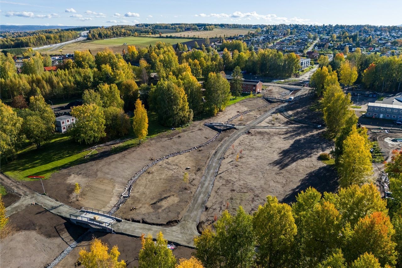 Høstbilde 2024 Galleribilde