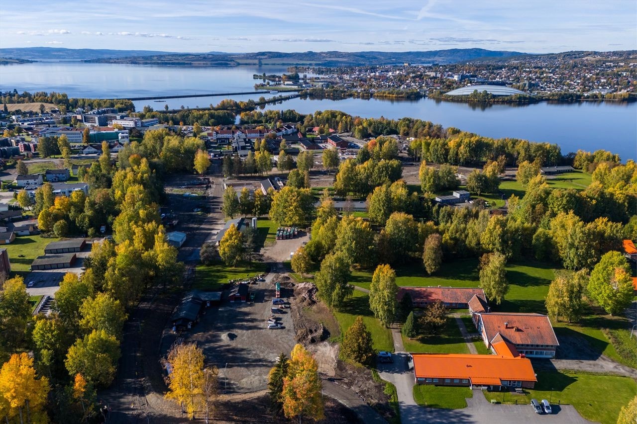 Høstbilde 2024 Galleribilde