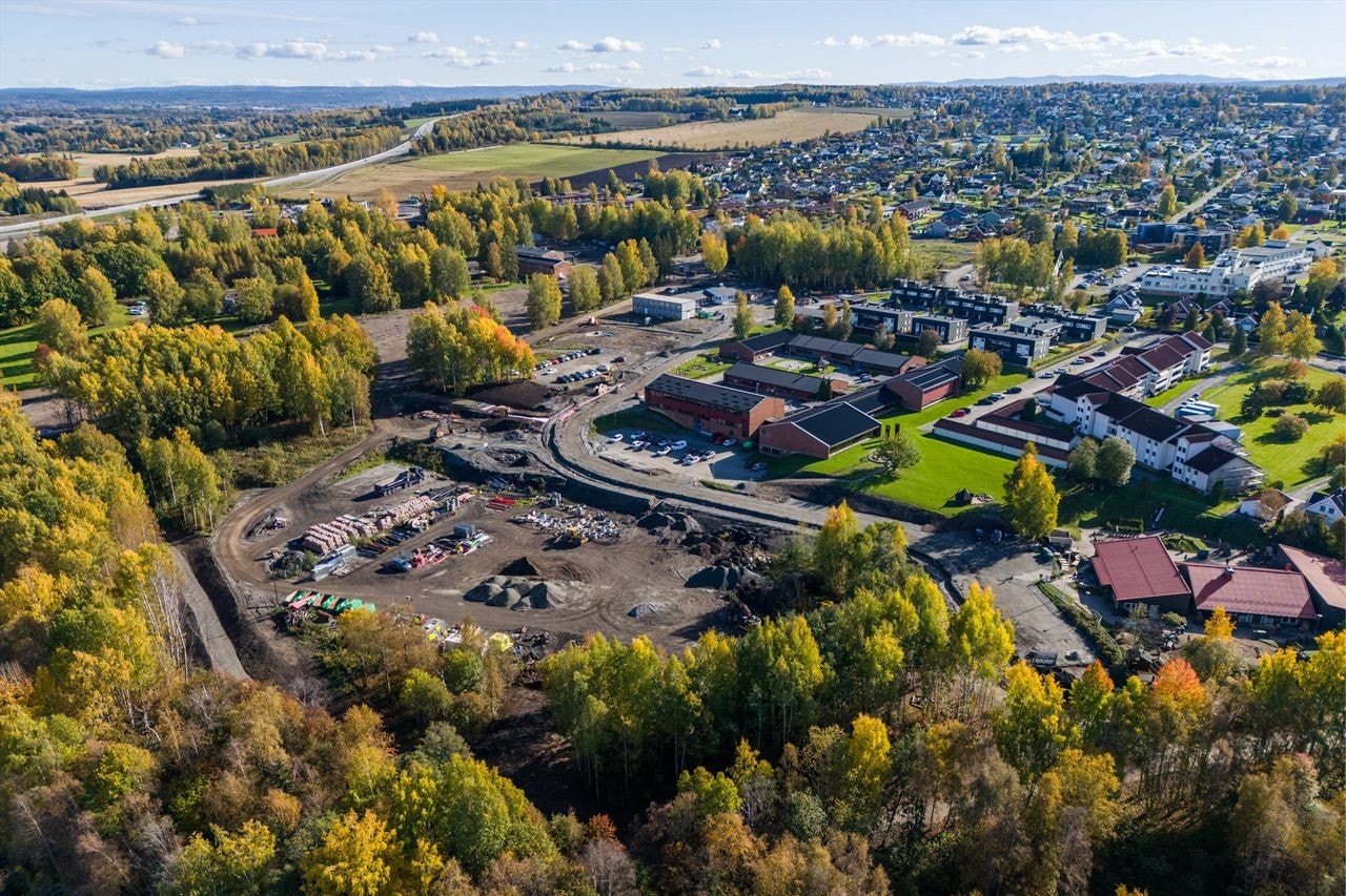 Høstbilde 2024 Galleribilde