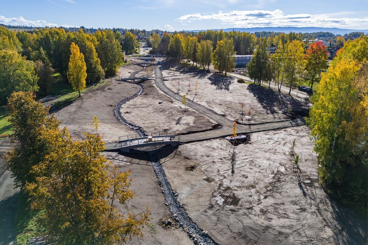 Høstbilde 2024 Galleribilde