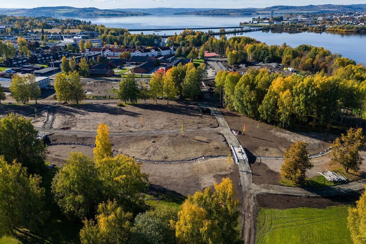 Høstbilde 2024 Galleribilde