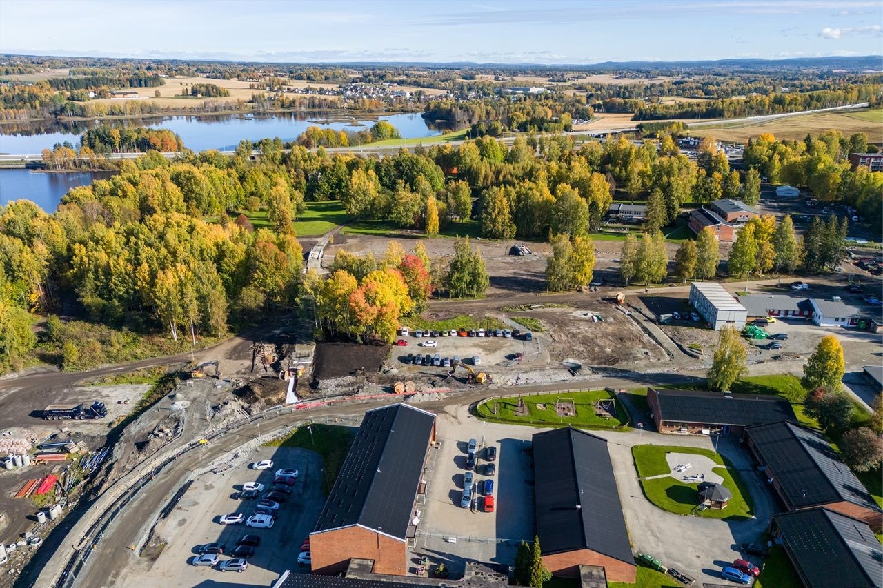 Høstbilde 2024 Galleribilde