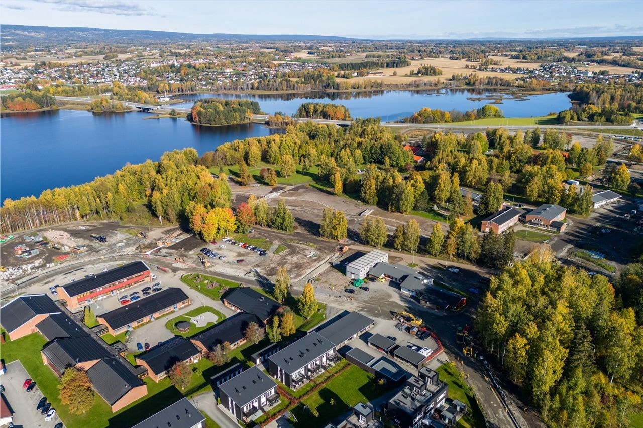Høstbilde 2024 Galleribilde