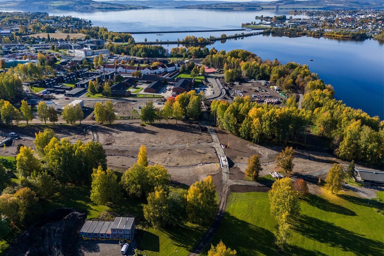 Høstbilde 2024 Galleribilde
