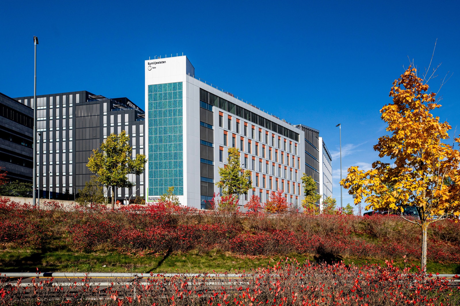 Karvesvingen 3. Galleribilde