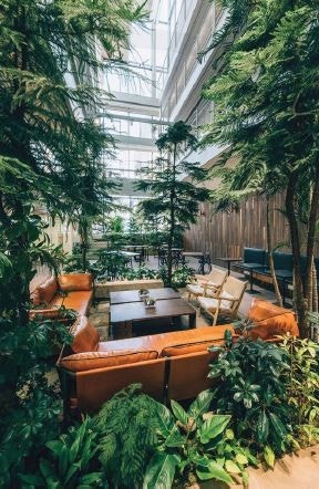 Forslag atrie 1 Galleribilde