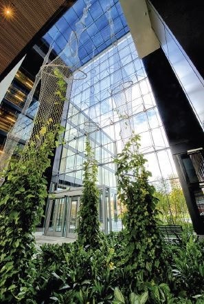 Forslag atrie 4 Galleribilde