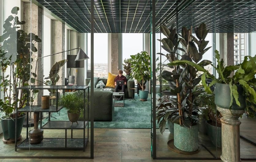 Forslag sosialsone 3 Galleribilde