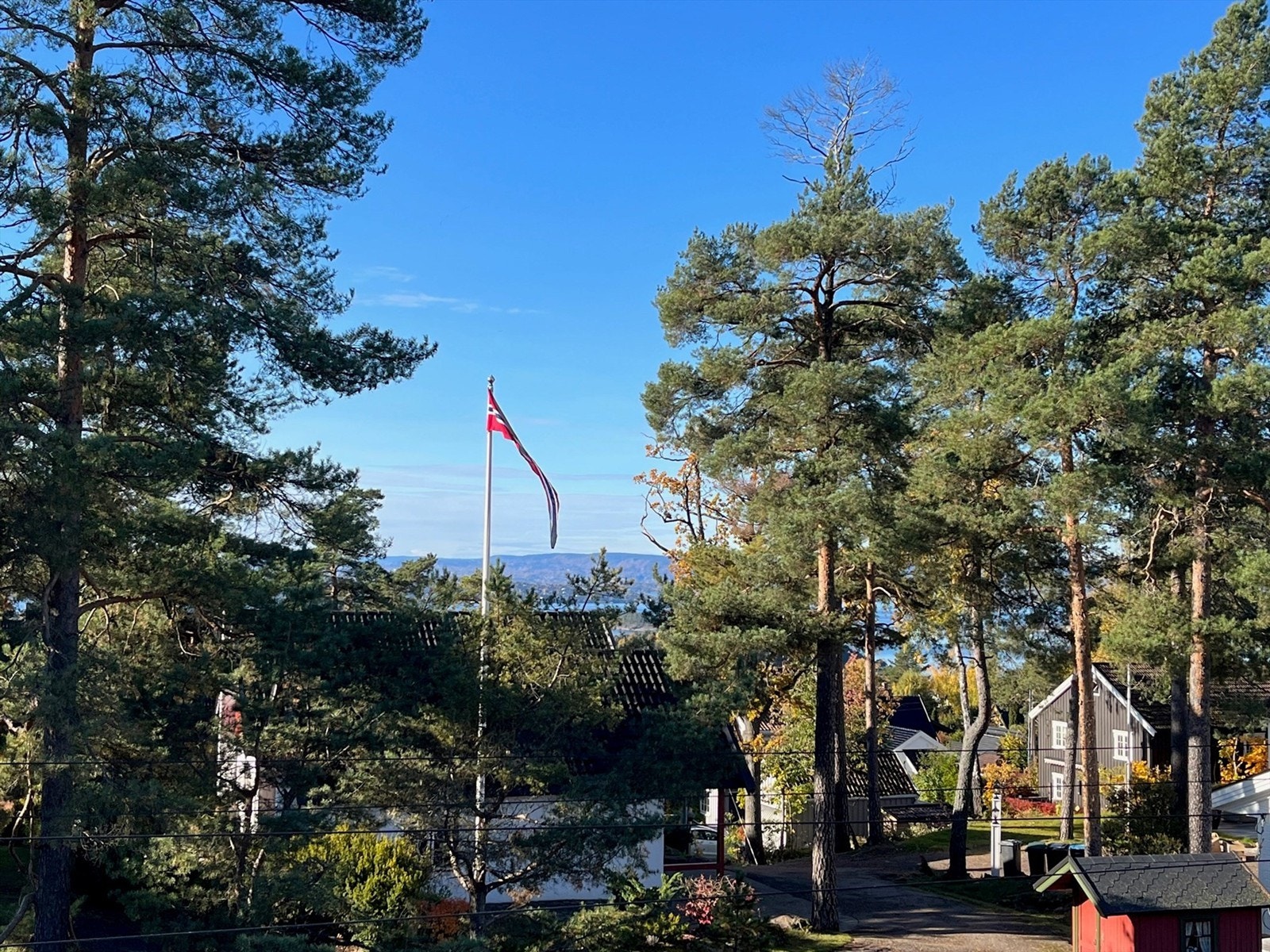 Fjordgløtt fra takaltan. Galleribilde