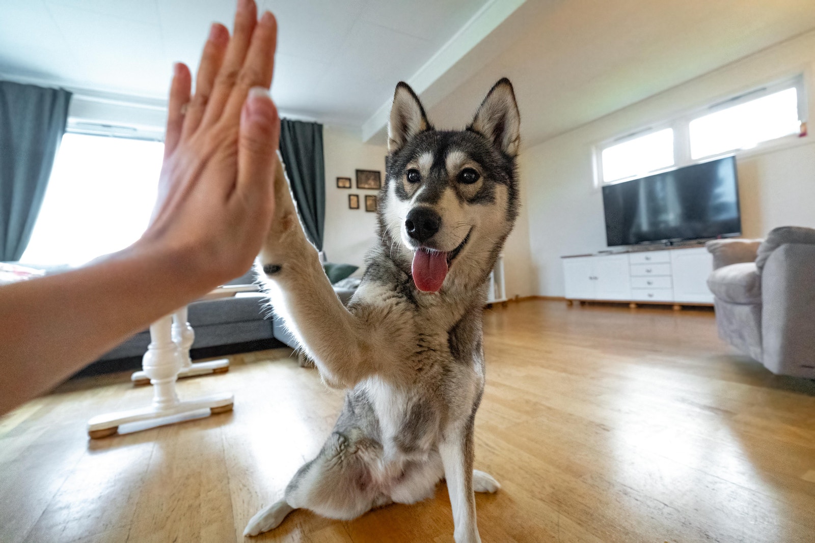 Velkommen til oss! Galleribilde