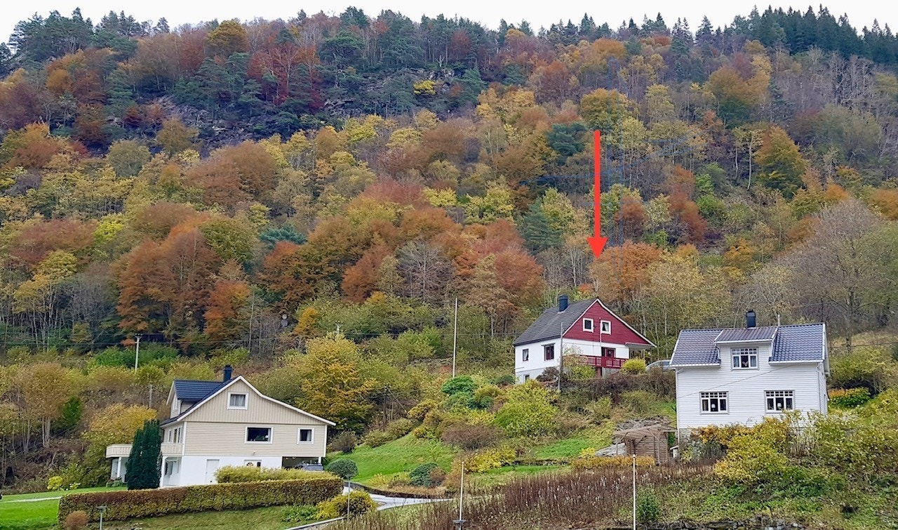 Eiendommen (rød pil) og nabolaget Galleribilde