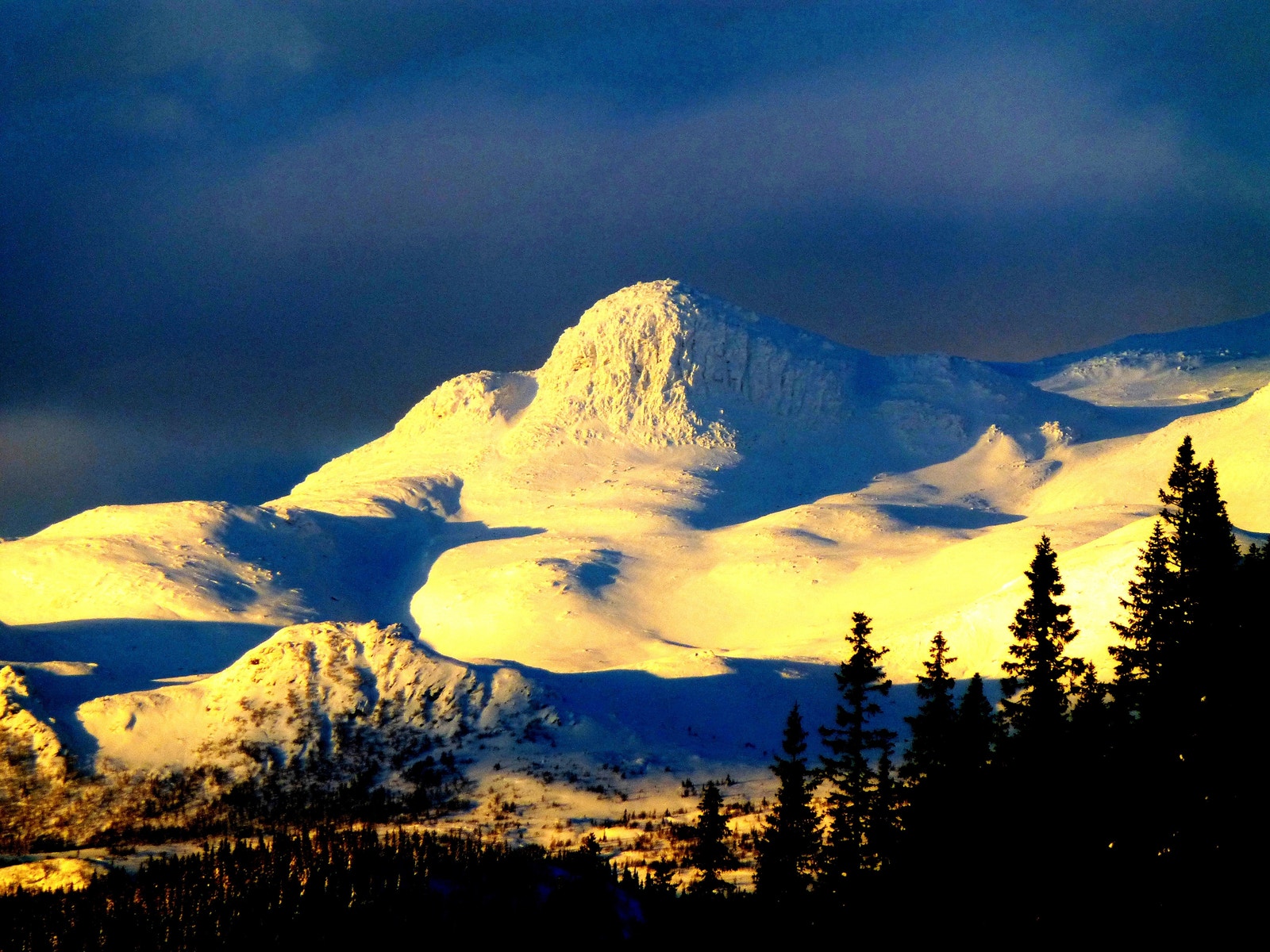 Bonsnos om morgenen - fin og lett topptur Galleribilde