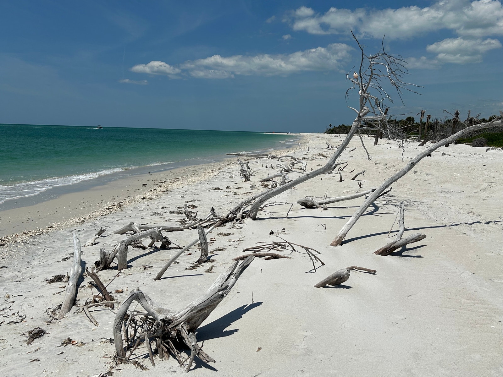 North Captiva Galleribilde