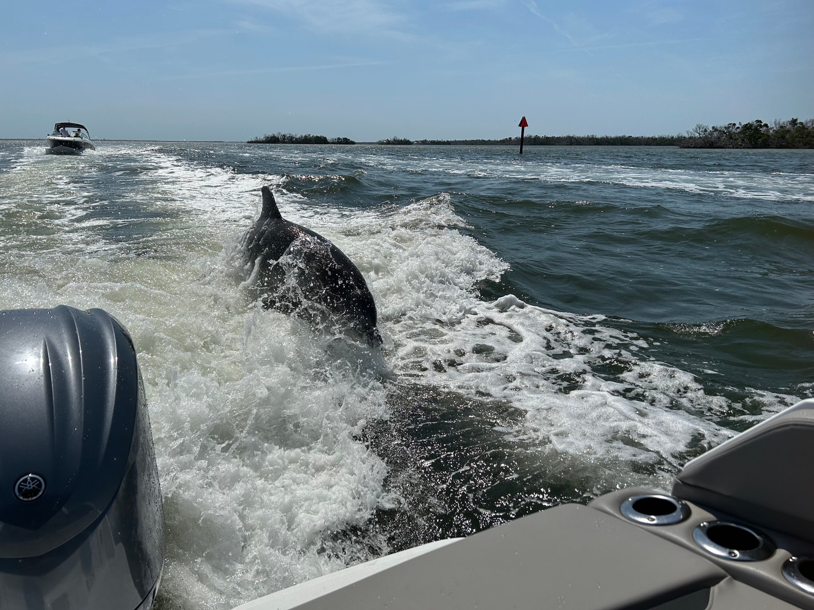 Lei båt, du vet aldri hvem som slår følge….. Galleribilde