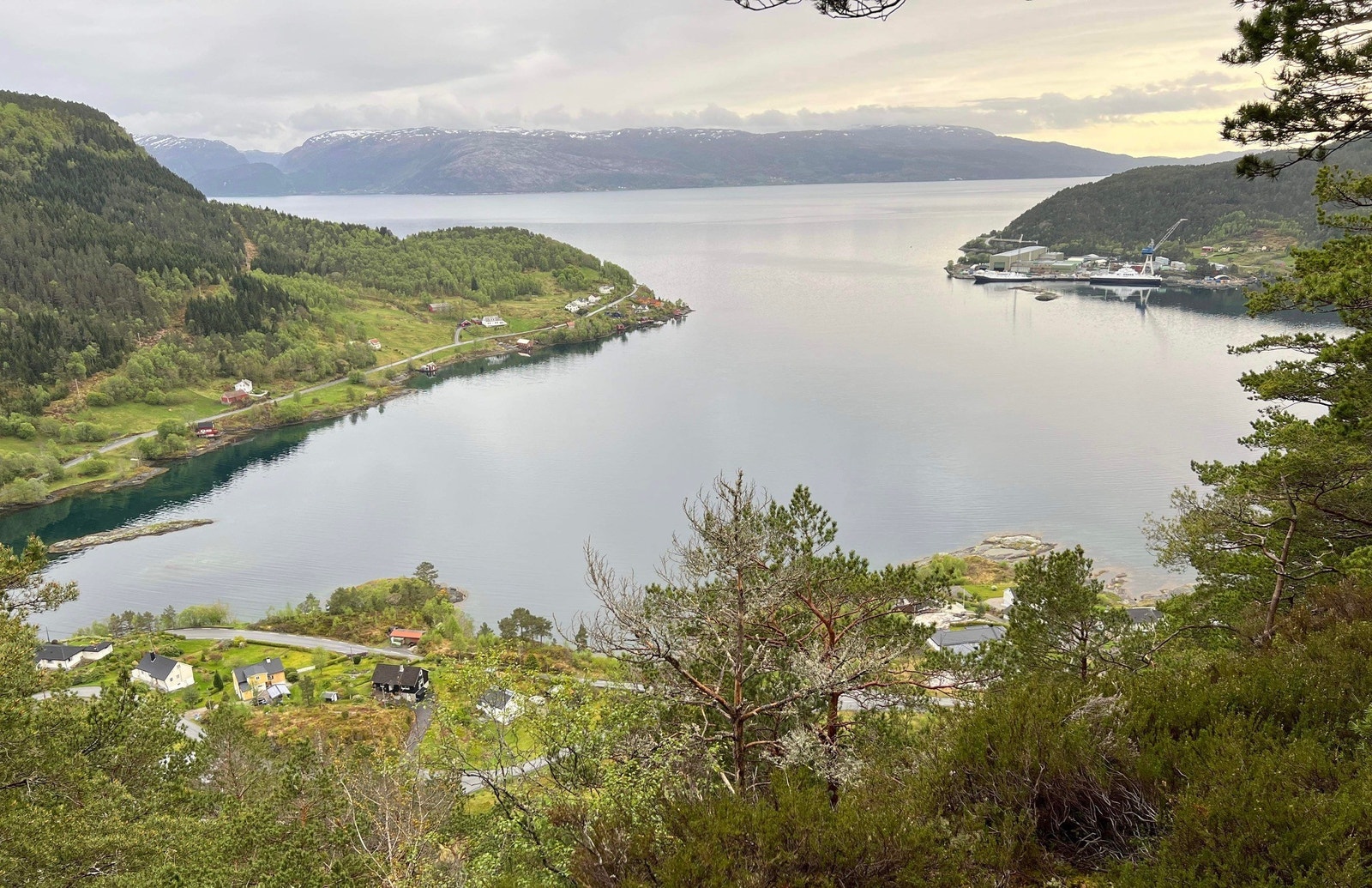 Nærområdet Galleribilde