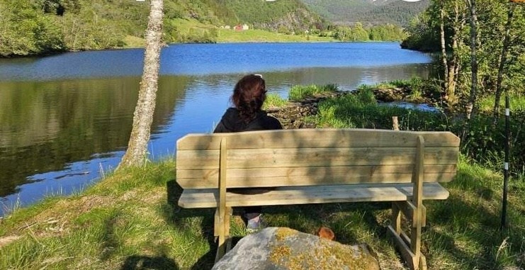 Nærområdet Galleribilde