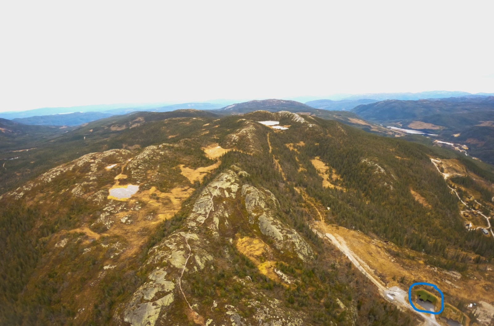 Flugonfjell mot syd Galleribilde