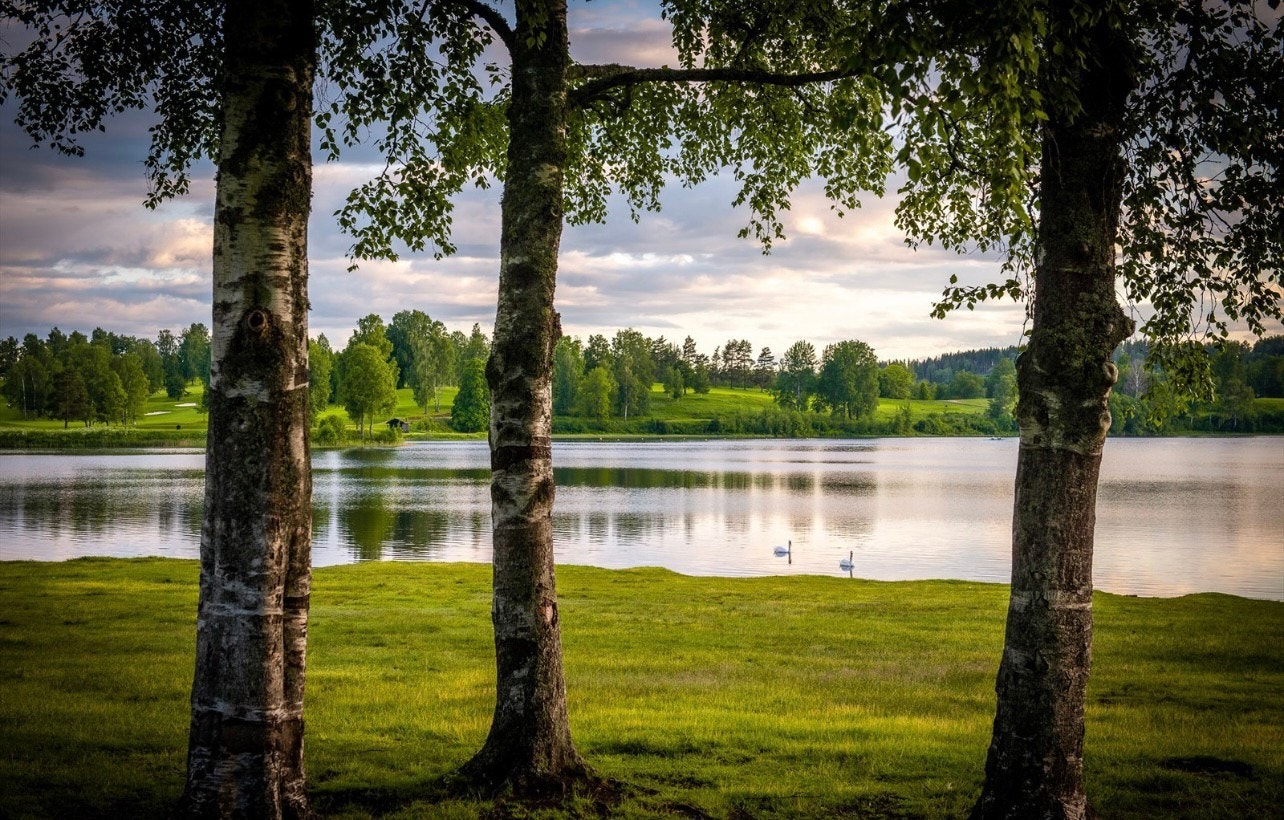 Nydelige Bogstadvannet Galleribilde