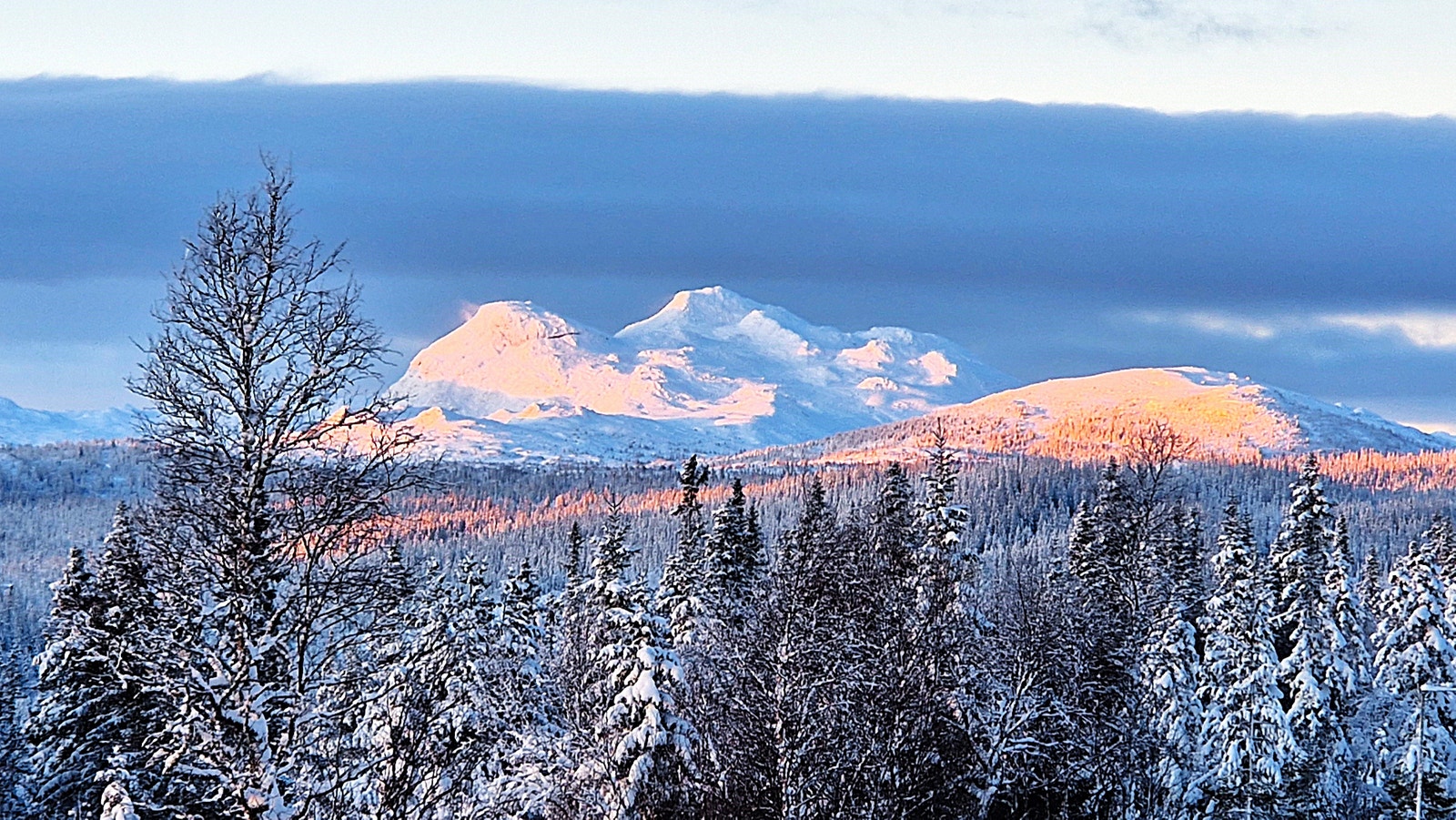 Gaustatoppen Galleribilde