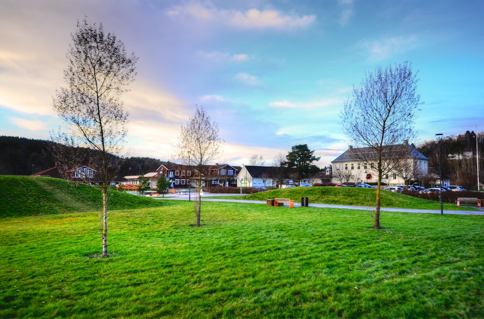 Andebuparken Galleribilde