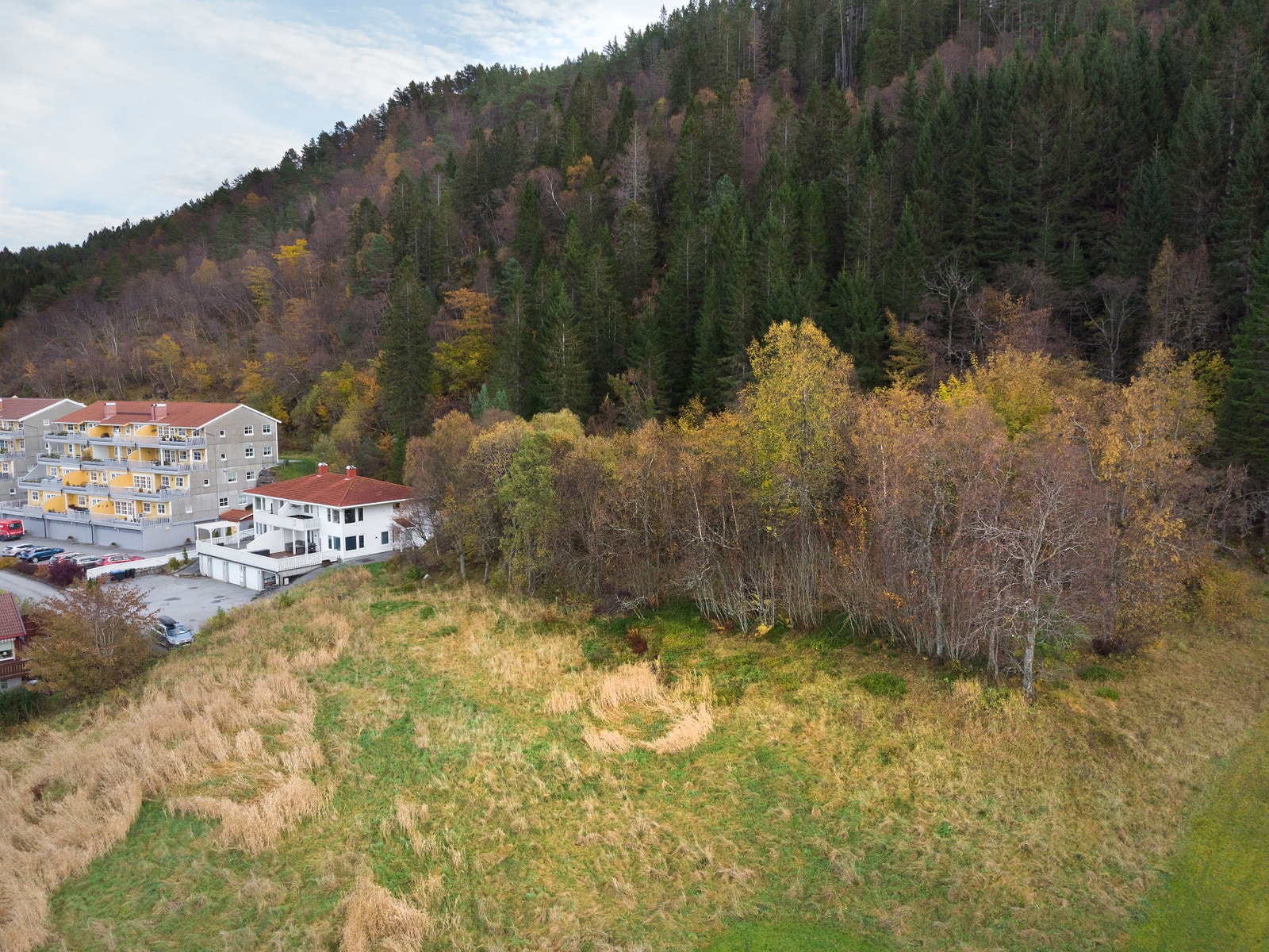 Oversikt over tomten. Galleribilde