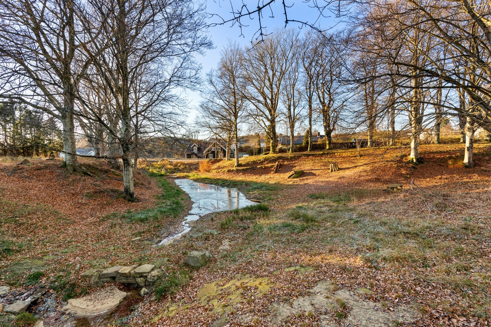 Parken Galleribilde