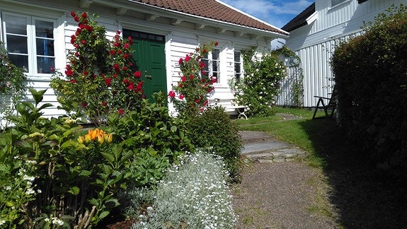 Nydelig hage og inngangsparti Galleribilde