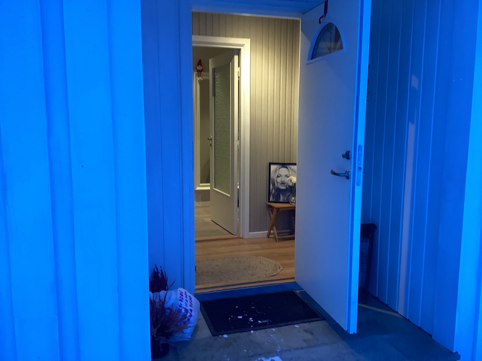 Inngangsparti. Galleribilde