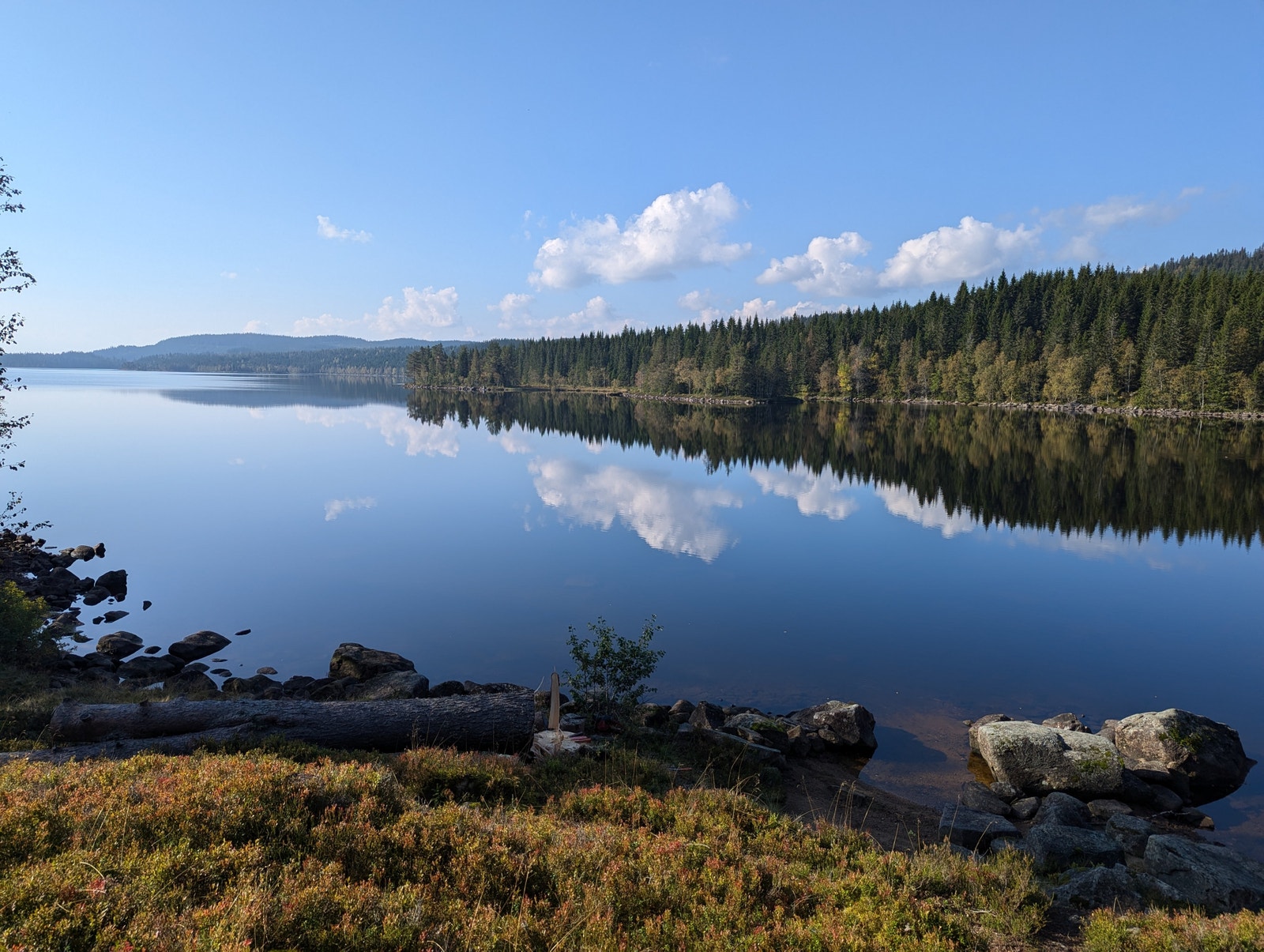 Stille sommerdag over Hersjøen Galleribilde