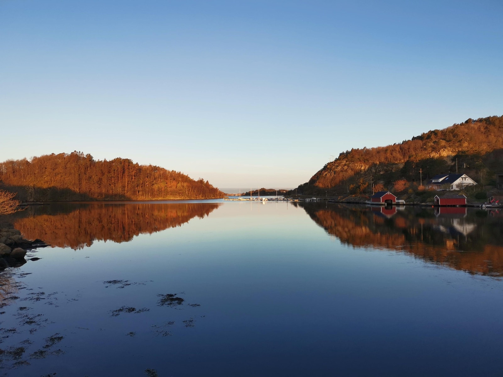 Fra Skogsøy og mot Skjernøy Galleribilde