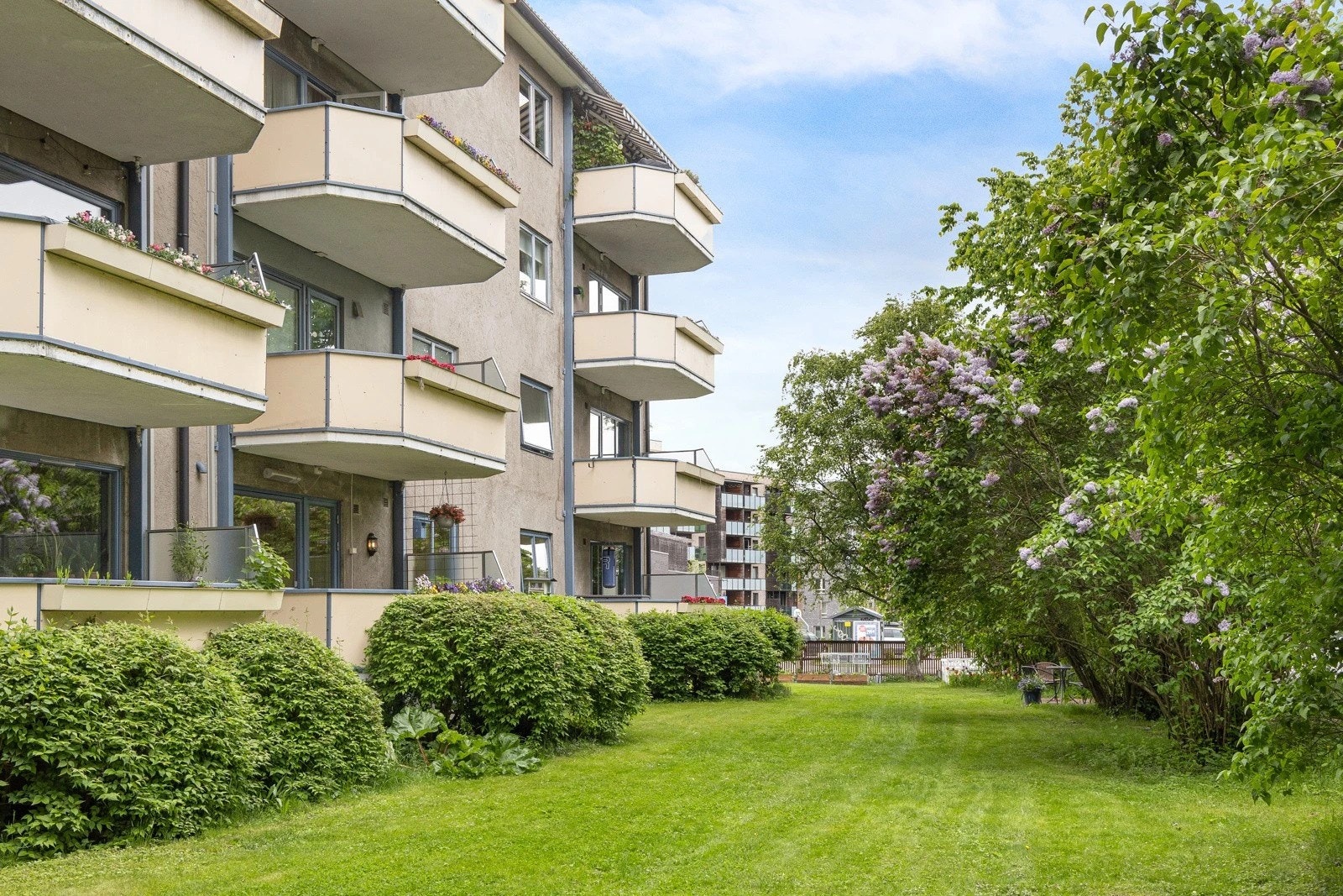 Sameiet har et hyggelig uteområde med høyt fokus på grøntarealene. Galleribilde