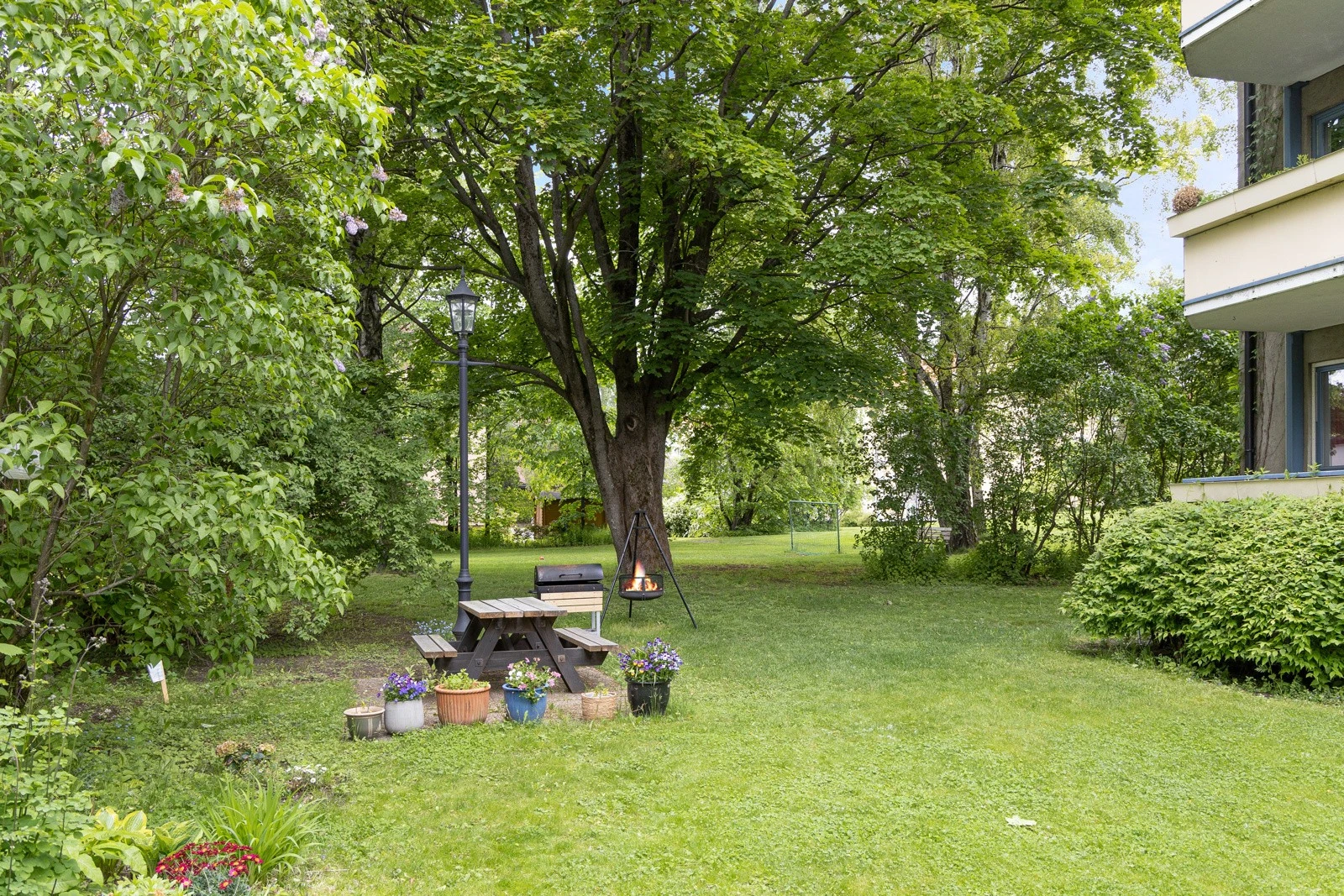 Fine grillomgivelser. Galleribilde