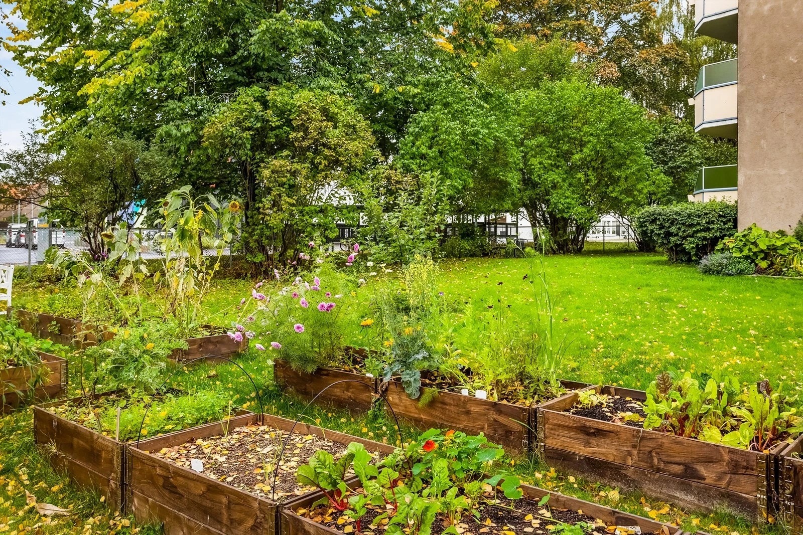 Sameiets flotte hage er som et ekstra oppholdsrom med mer plass til lek og sosiale lag. Galleribilde