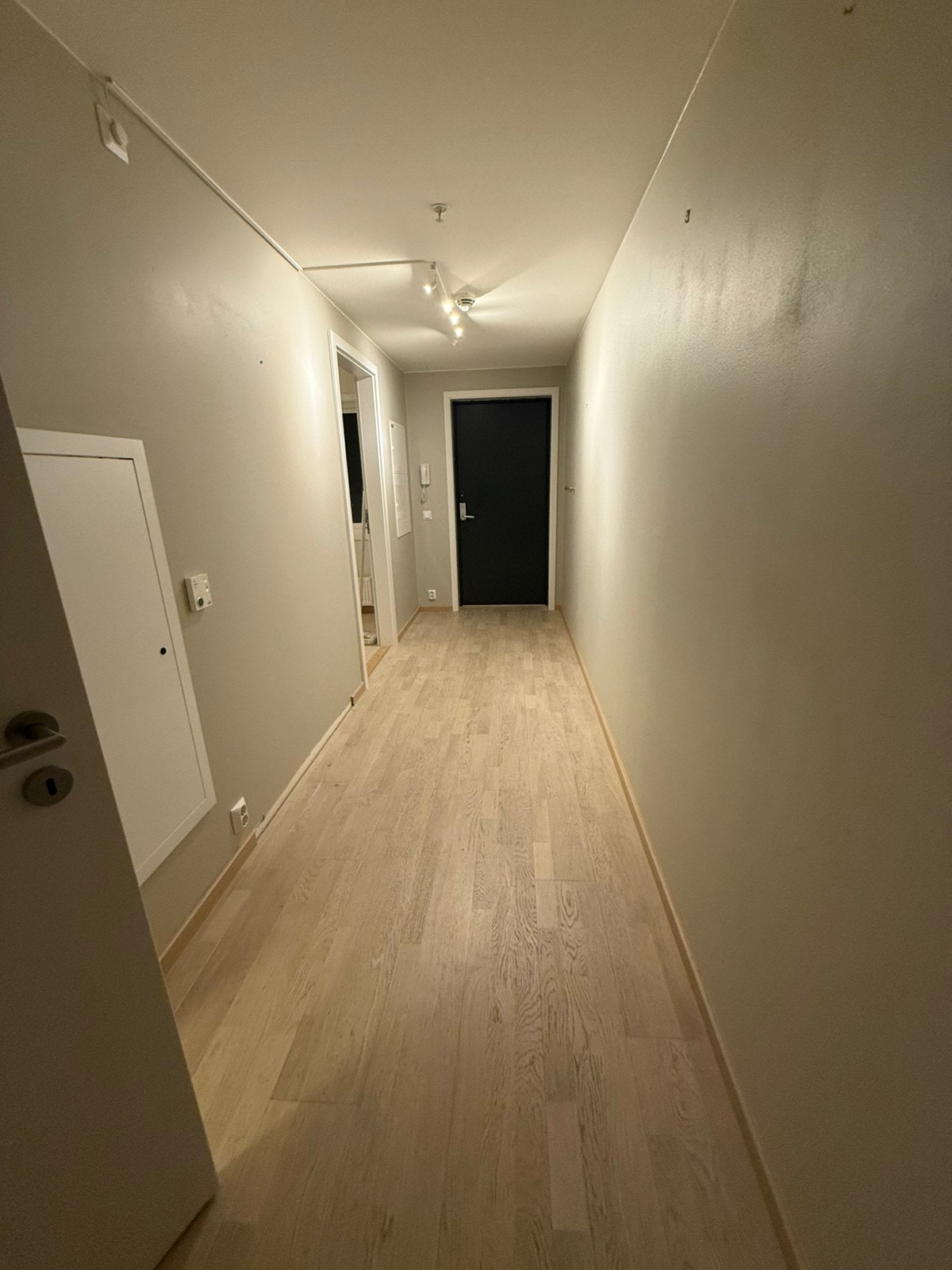 Gang/Entre Galleribilde