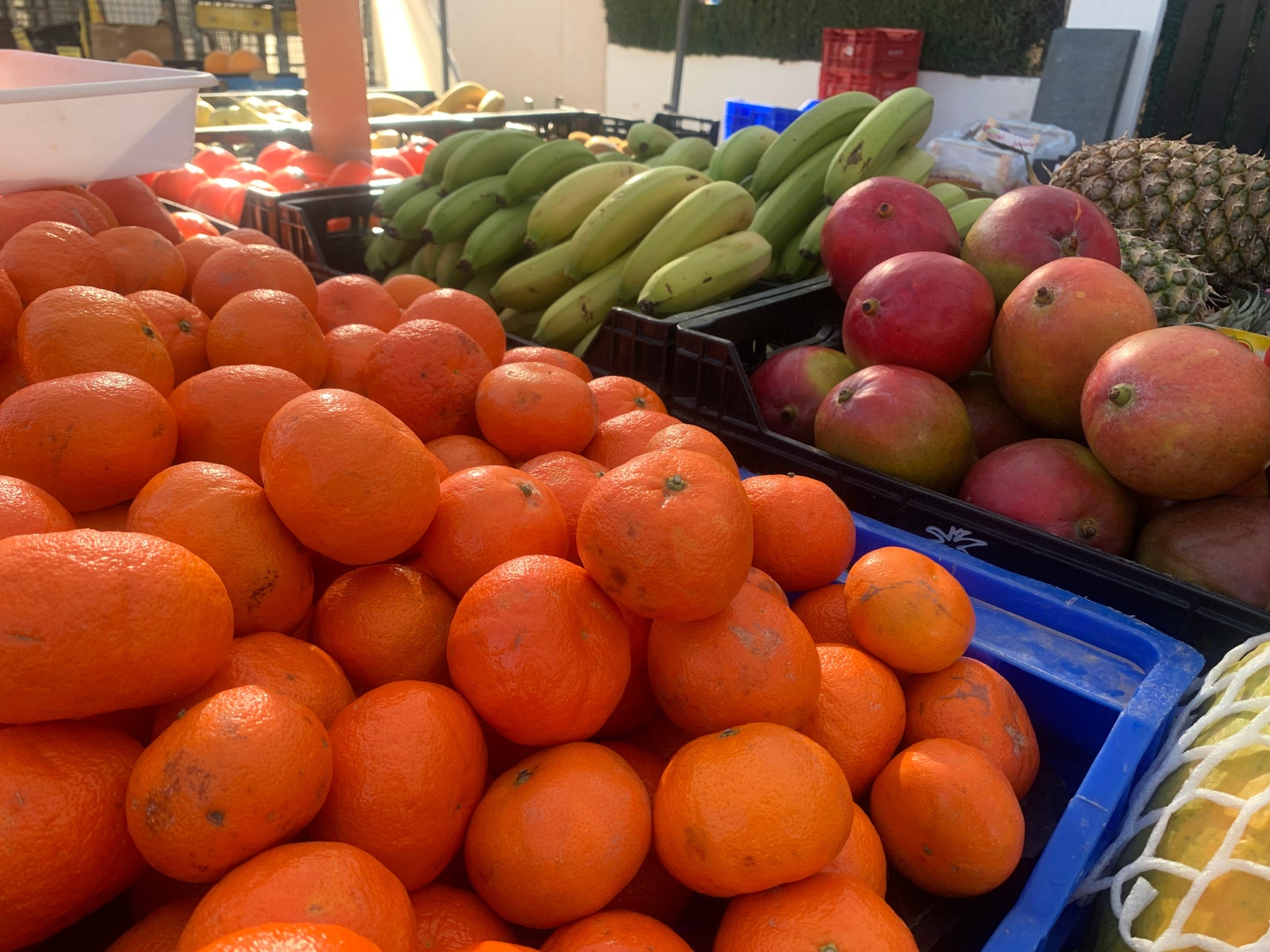 I appelsinene rike Galleribilde