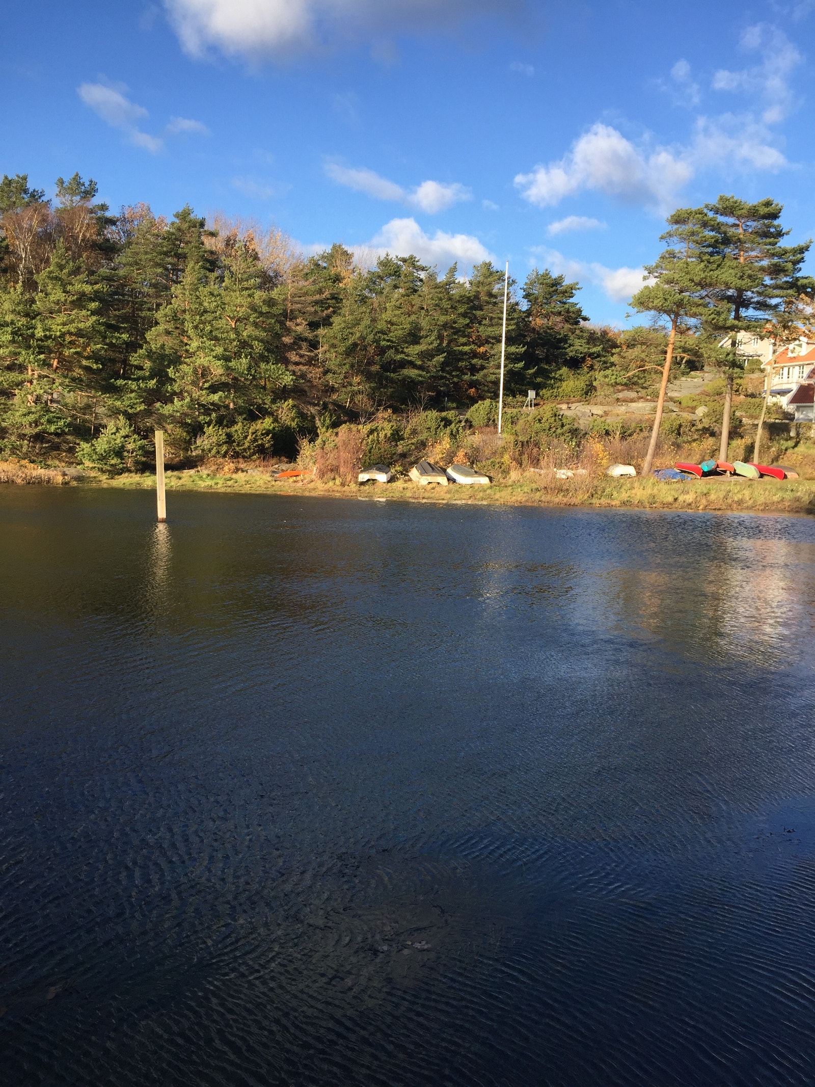 Fägelviken Galleribilde