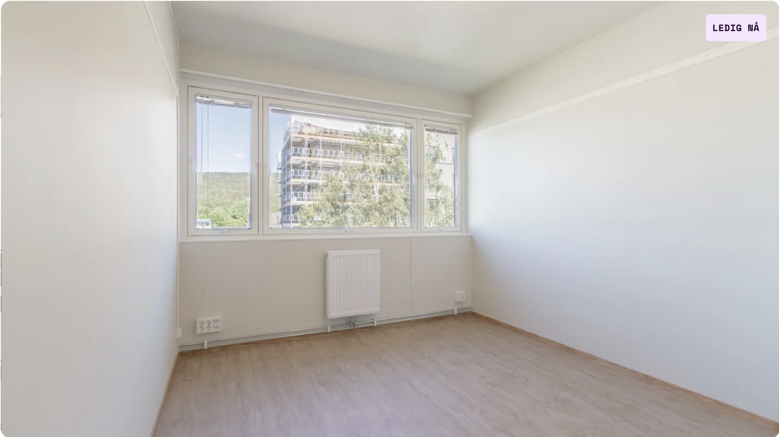 Bilde fra hybelen. Galleribilde